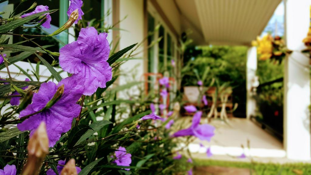 Charpoot Cottage เขาหลัก ภายนอก รูปภาพ