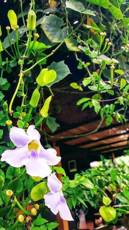 Charpoot Cottage เขาหลัก ภายนอก รูปภาพ